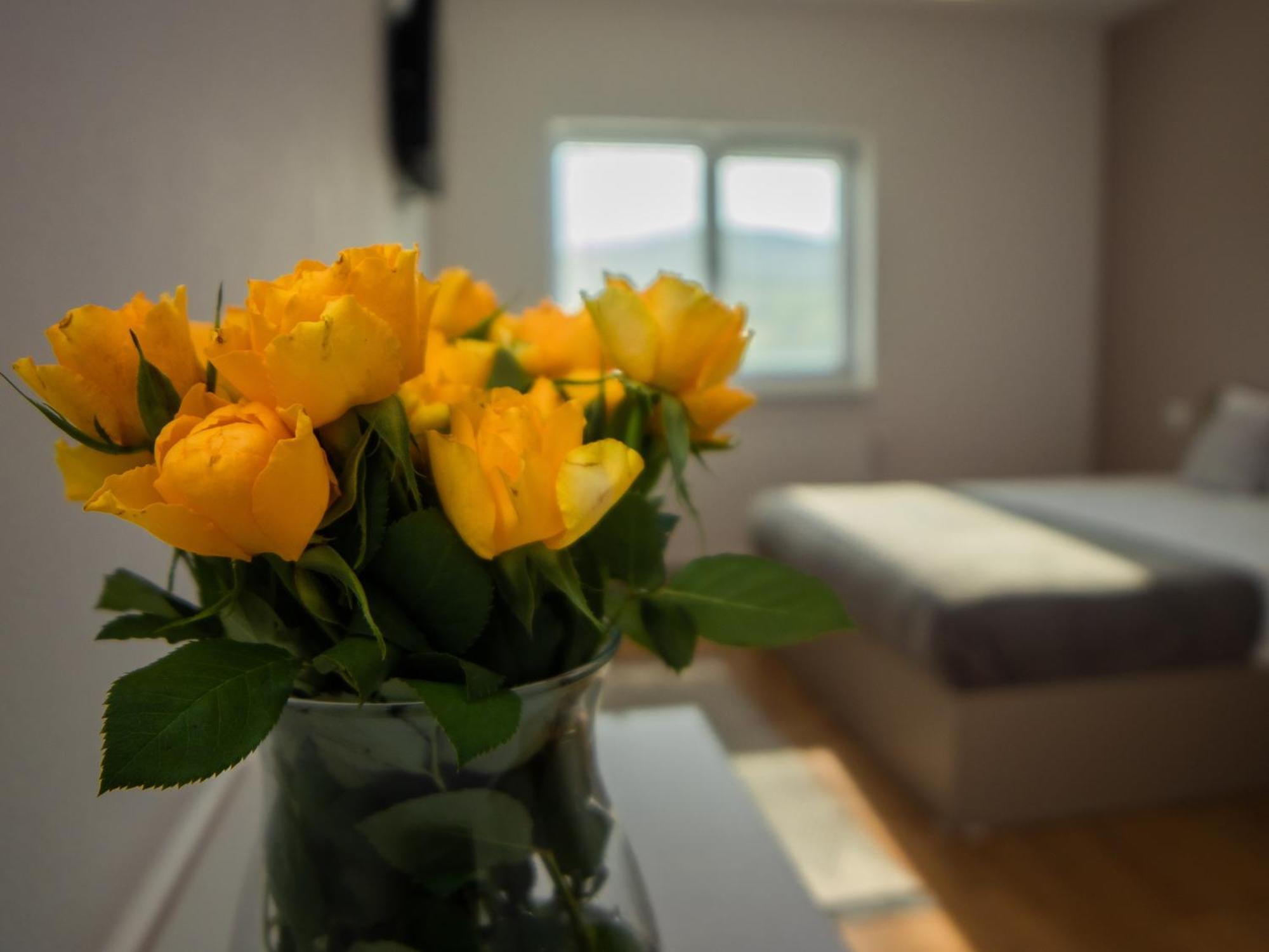 Hotel Dom Hills Bucovina Gura Humorului Zewnętrze zdjęcie